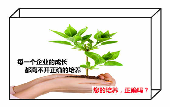 20181116091807_1406_副本.jpg 20181116091807_1406_副本.jpg