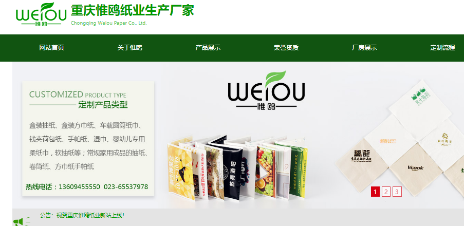 重庆惟欧网站界面图